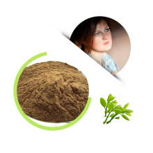 Green tea extract Natural L-theanine powder